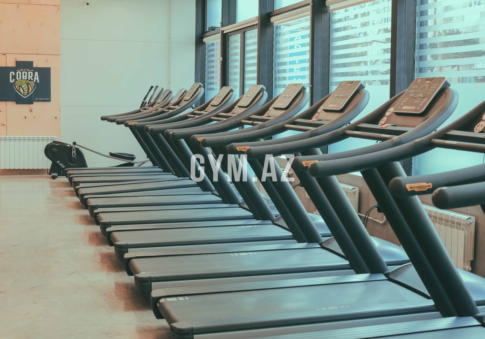 Cobra Gym Club