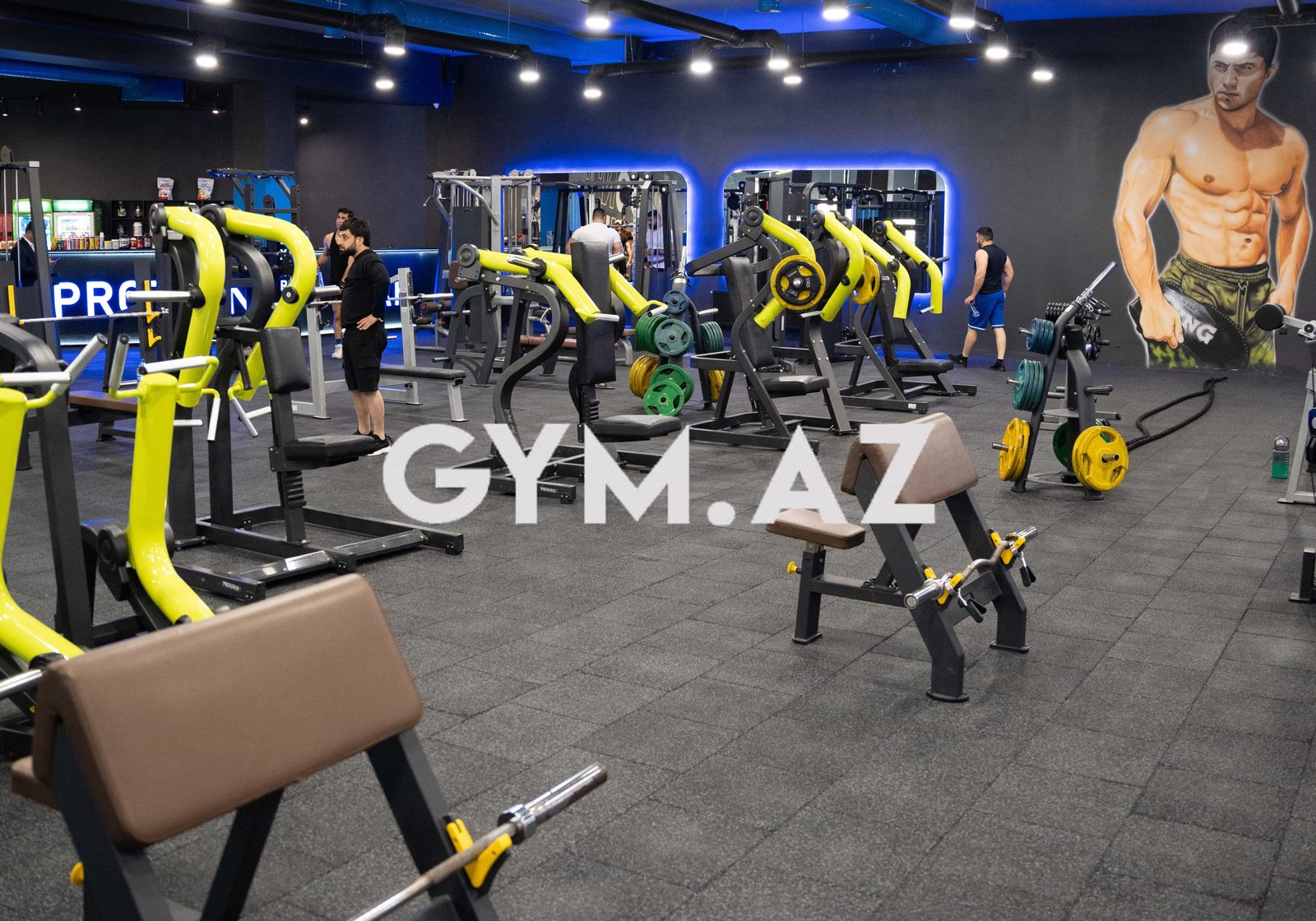 Extreme Force Gym