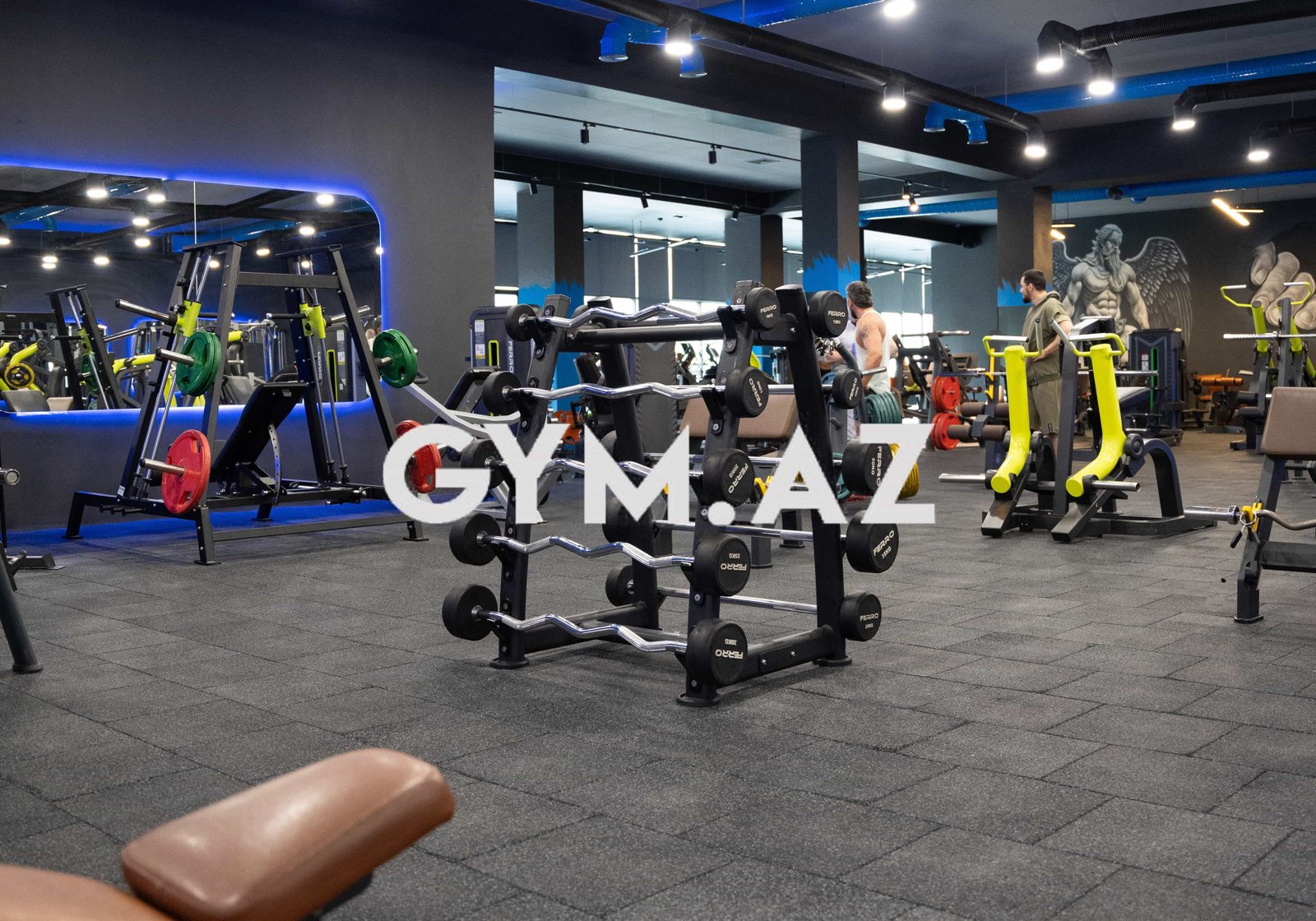 Extreme Force Gym