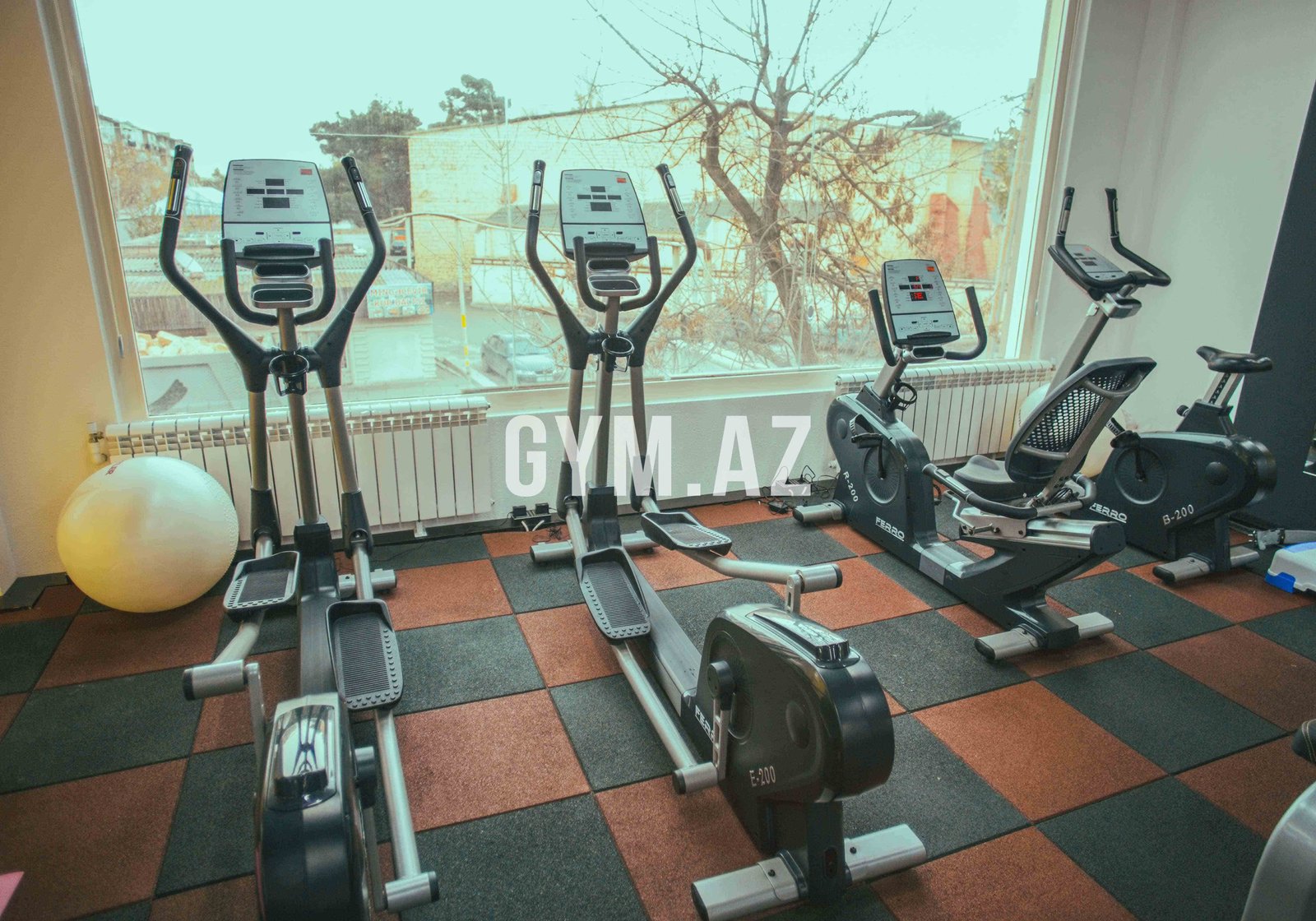 Golden CI Fitness