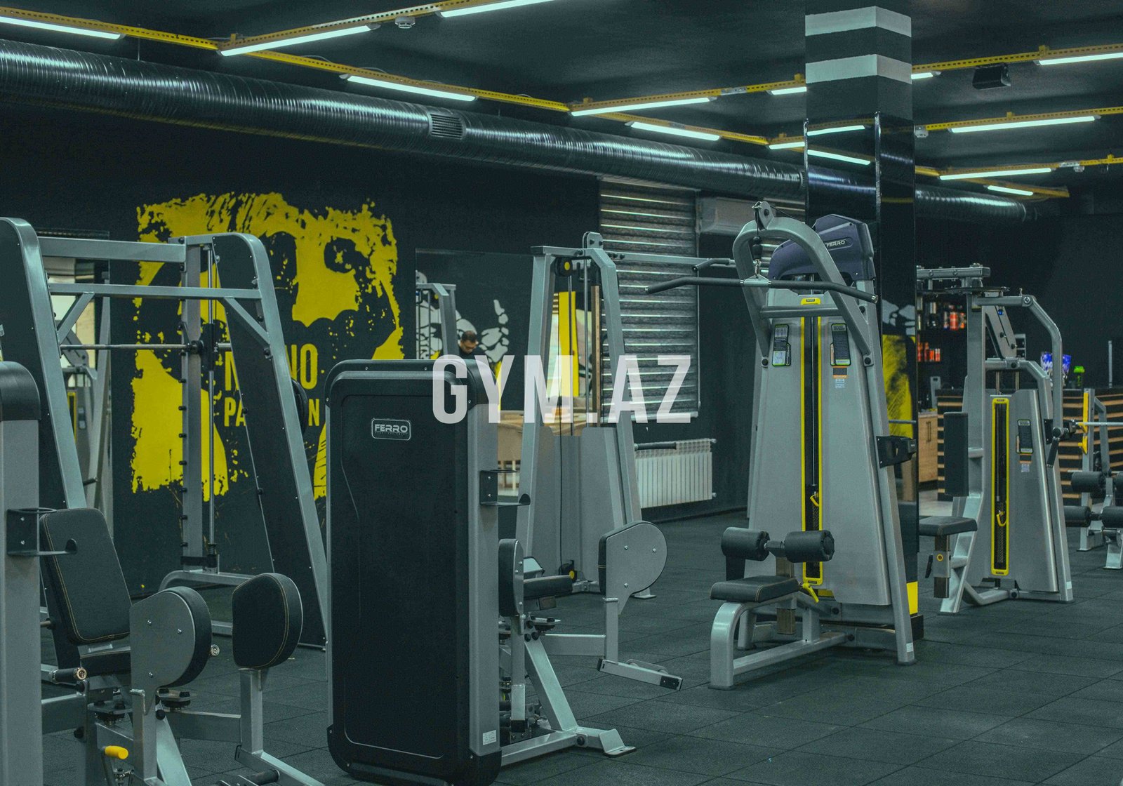 Golden CI Fitness