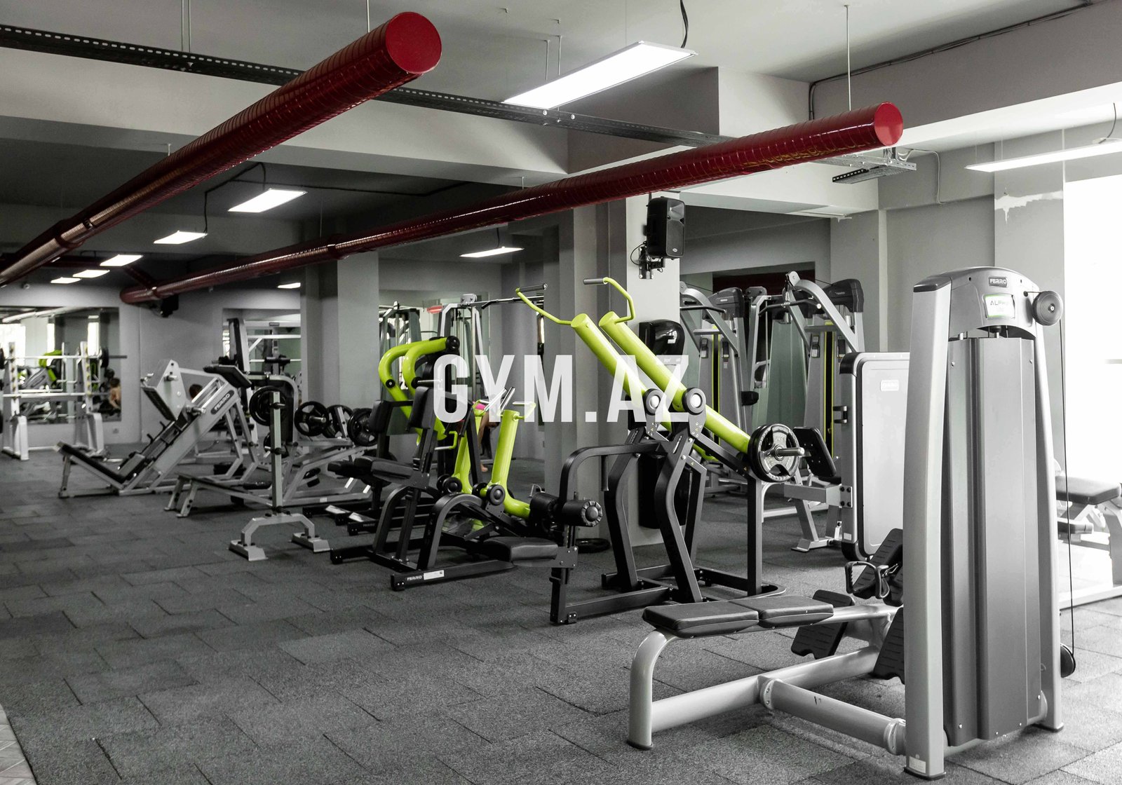 JV Fitnes Sharifzada