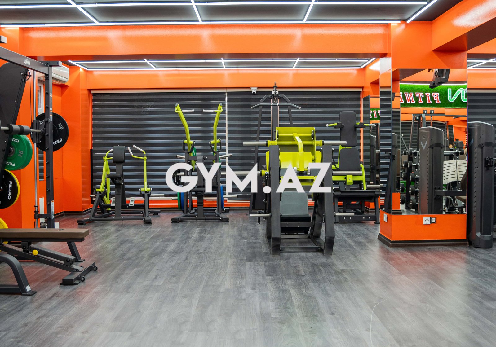Lion Fitness CN