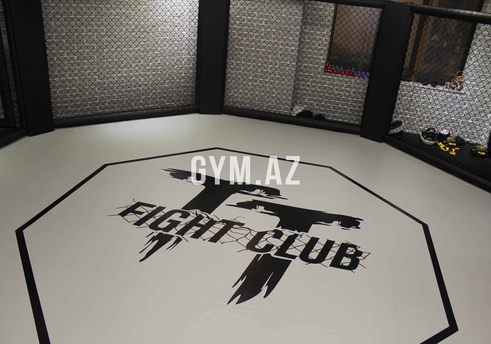 TT Fight Club Dilara