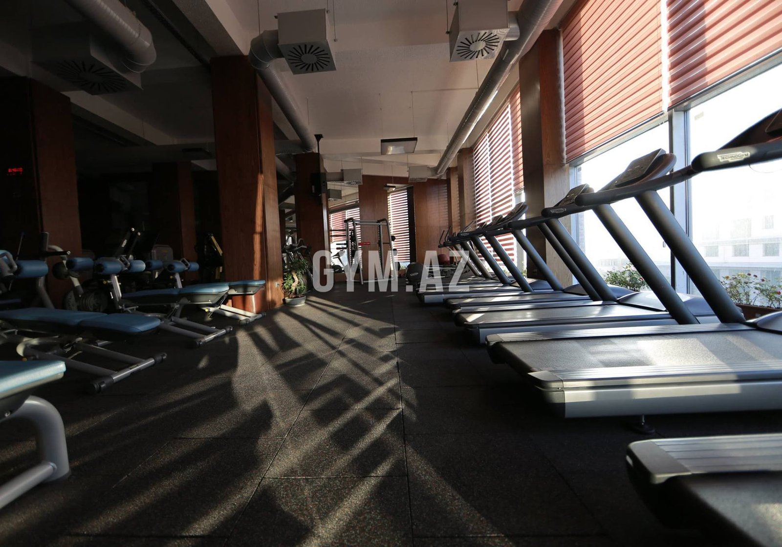 VITR Fitness