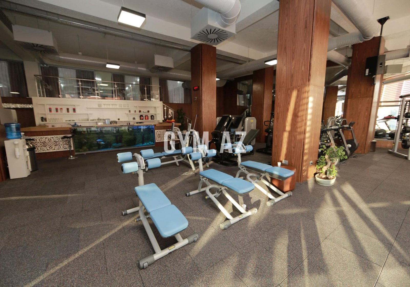 VITR Fitness